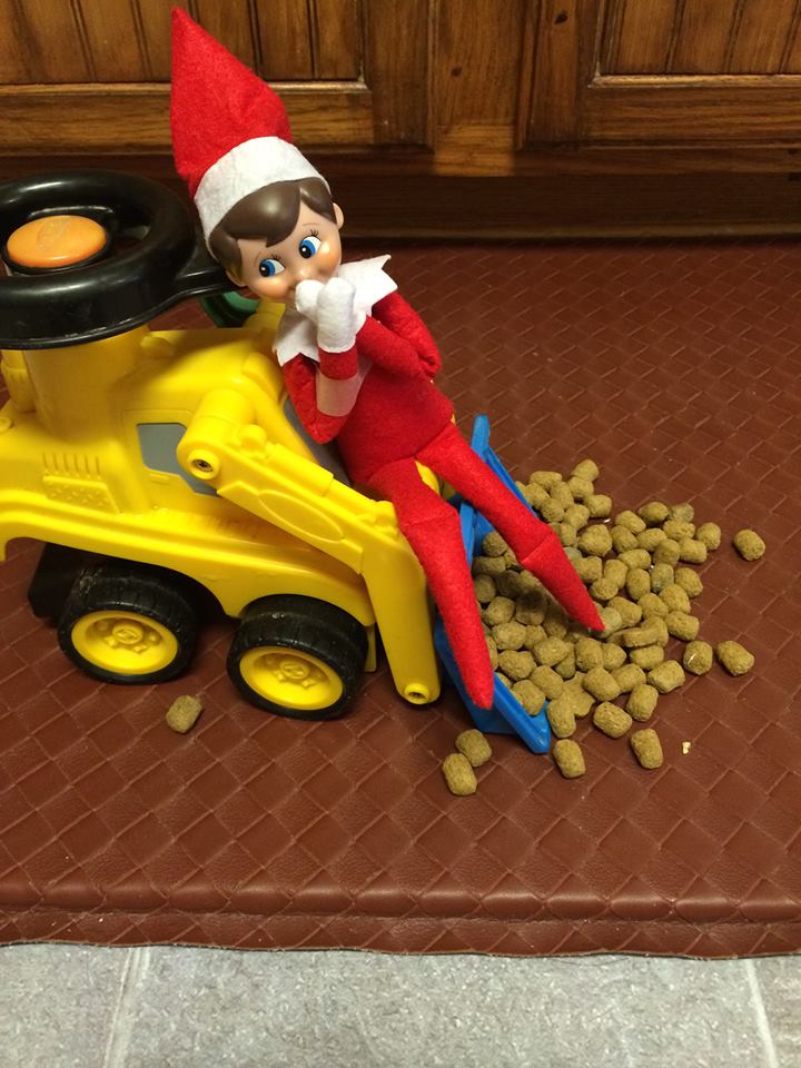 Elf On The Shelf in a construction vehicle