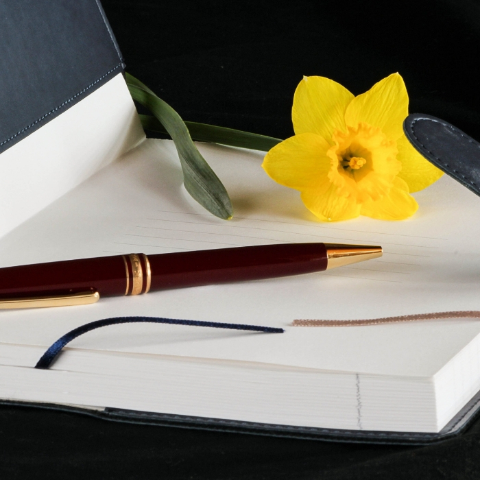 ways to write in your bullet journal