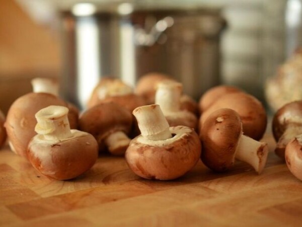 easy mushroom recipes