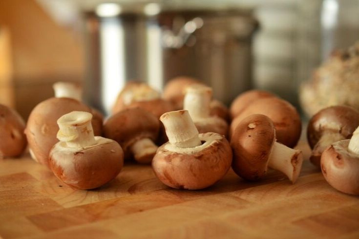 Tasty and Tempting Mushroom Recipes