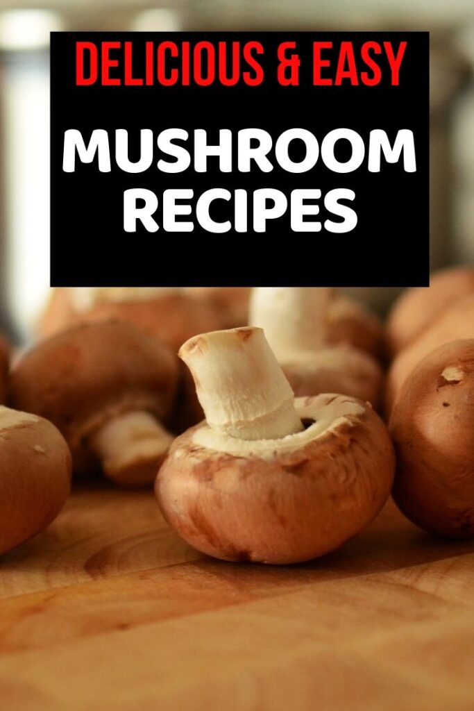 mushroom recipes 