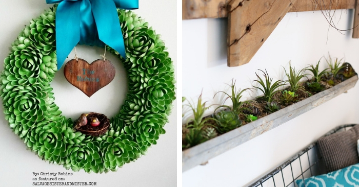 15+ Succulent Crafts to Make ASAP