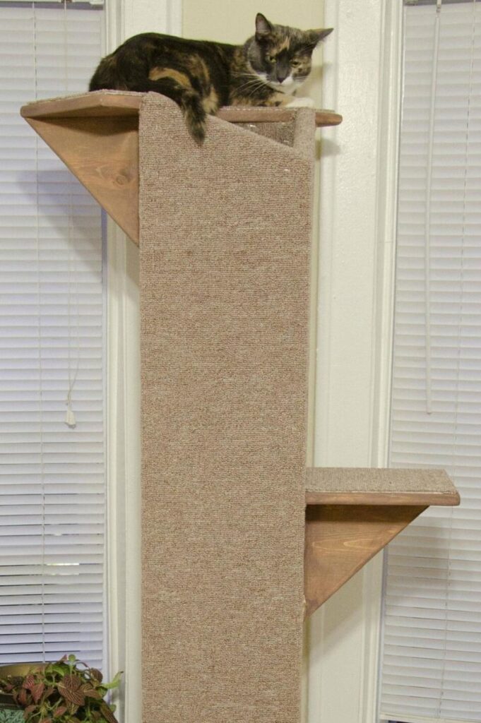 Great example of DIY cat trees