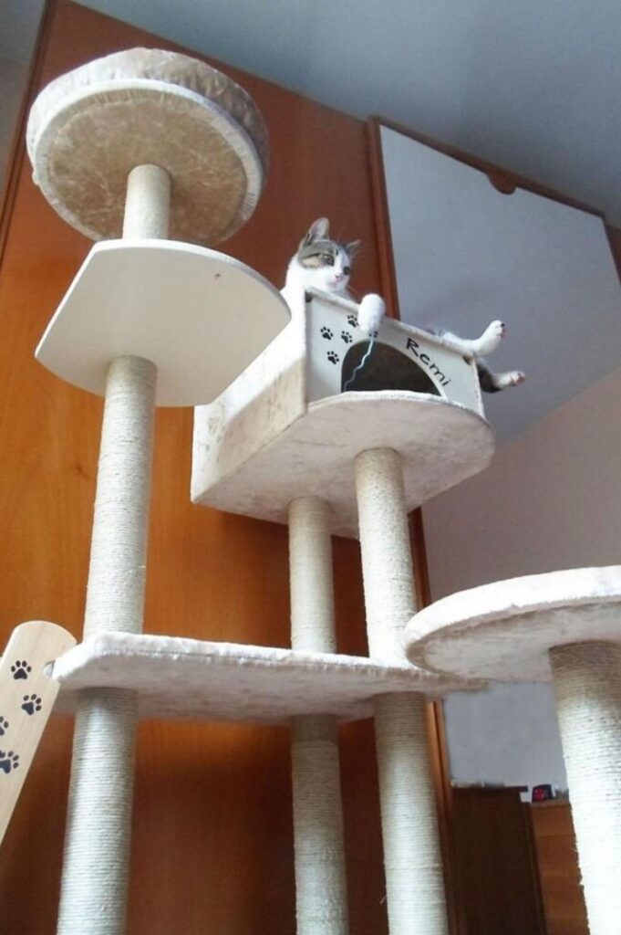 Great example of DIY cat trees