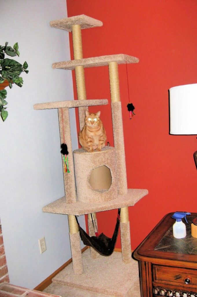 Great example of DIY cat trees