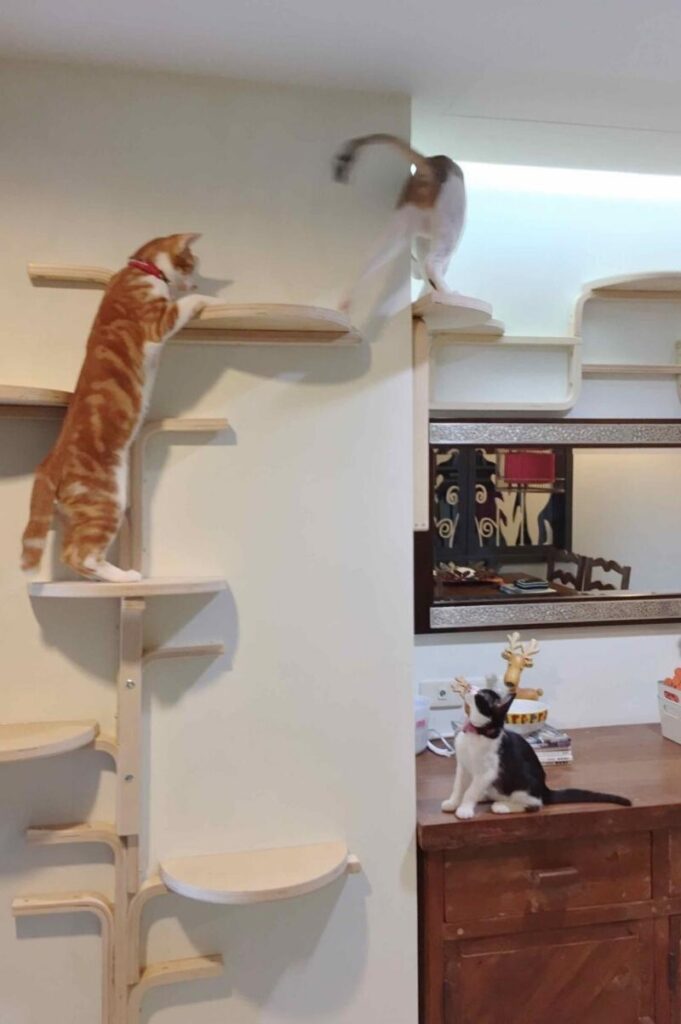 Great example of DIY cat trees