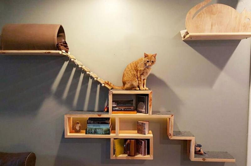 Great example of DIY cat trees