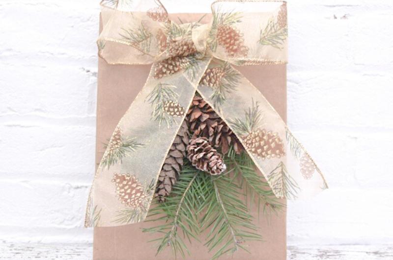 Brown bag with ribbon and pinecone