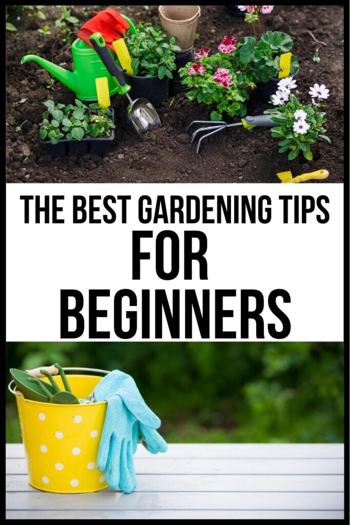 gardening tips for beginners pin image