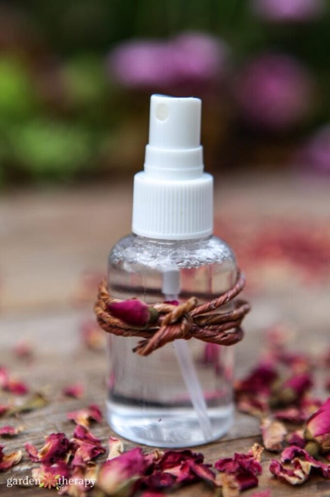 spray bottle of DIY rose face toner