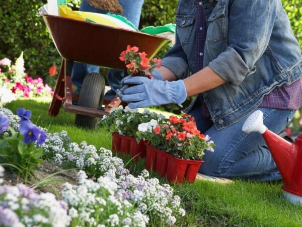 woman planting flowers