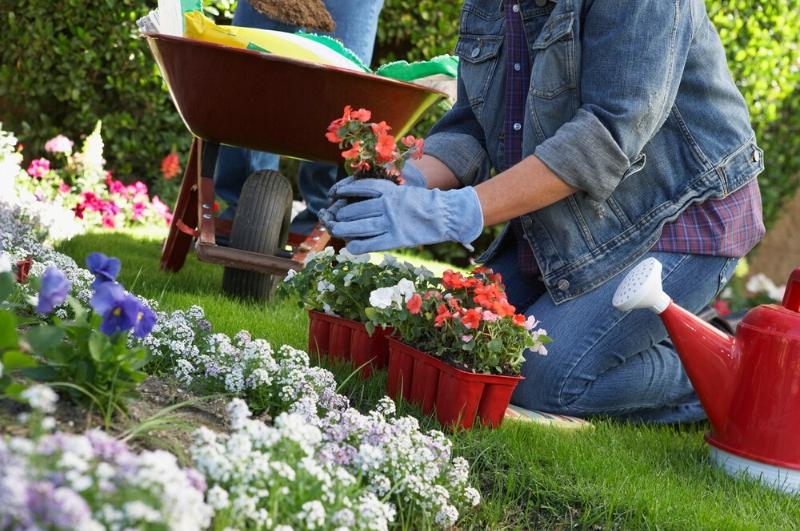 woman planting flowers