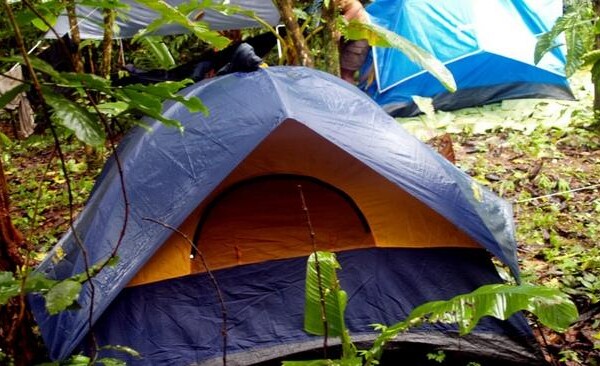 blue and orange tent set up in a summer camping area