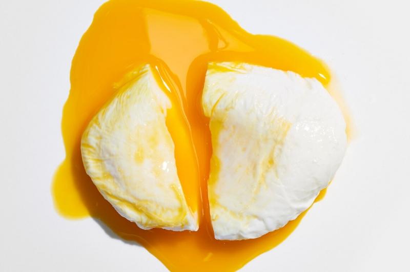 poached egg on white background