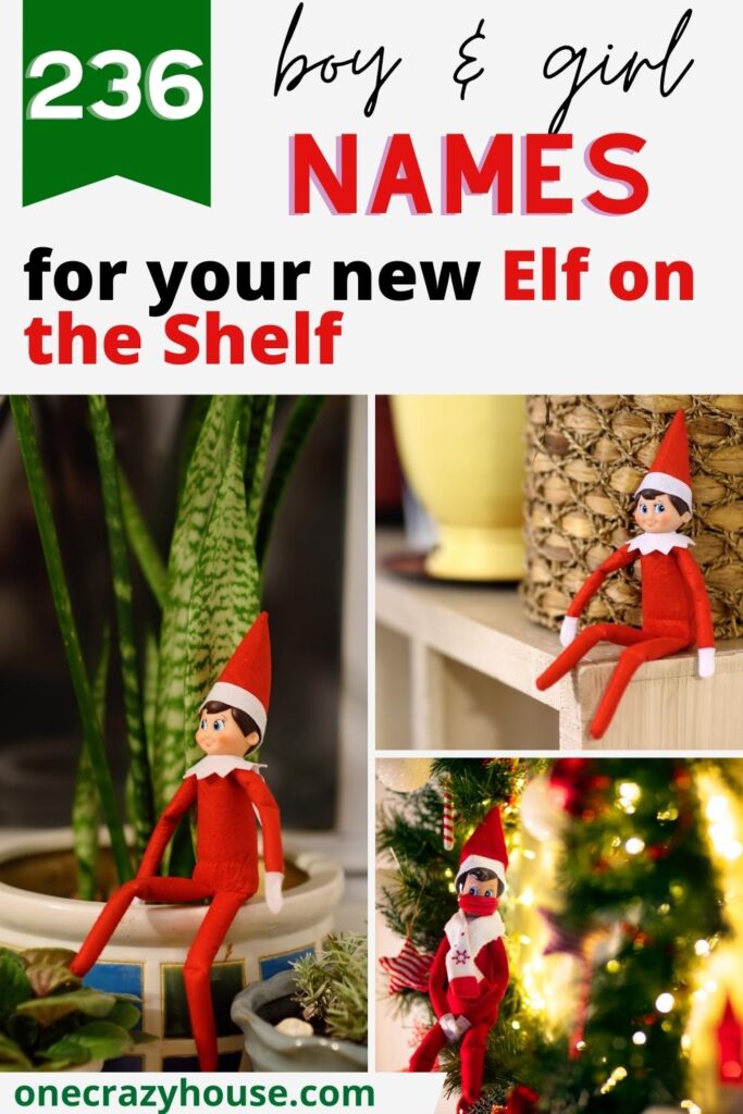 Elf on the Shelf names pin image