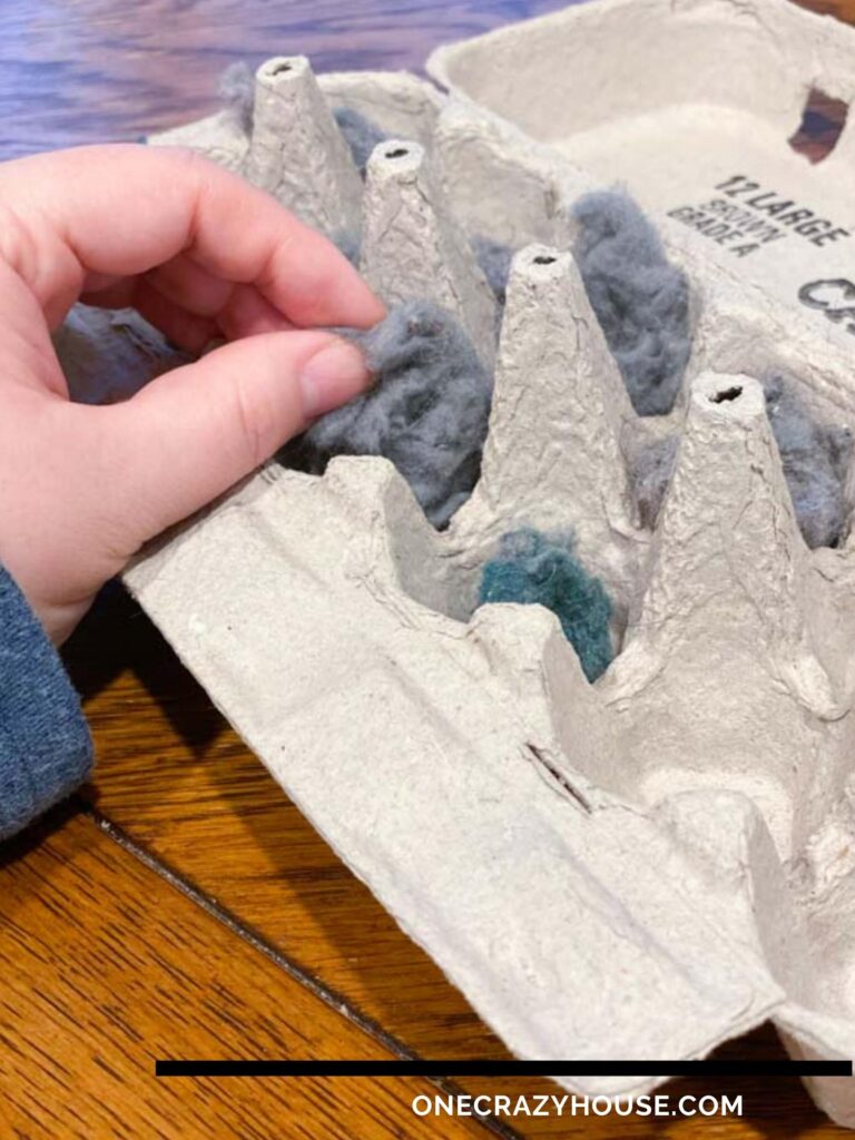 Making a fire starter with an egg carton and dryer lint