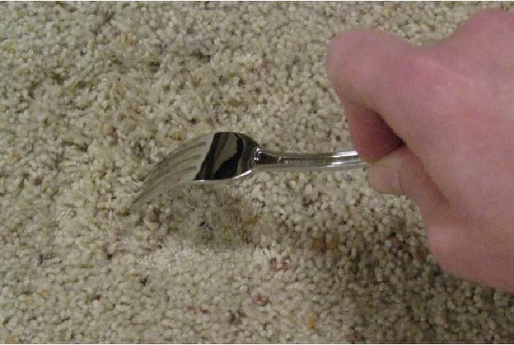 fluffing carpet with a fork