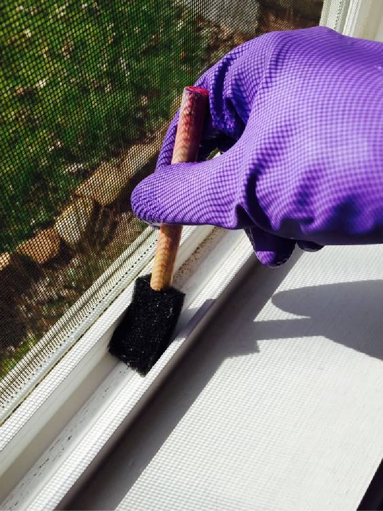 Person with purple gloves cleaning window tracks with a sponge brush