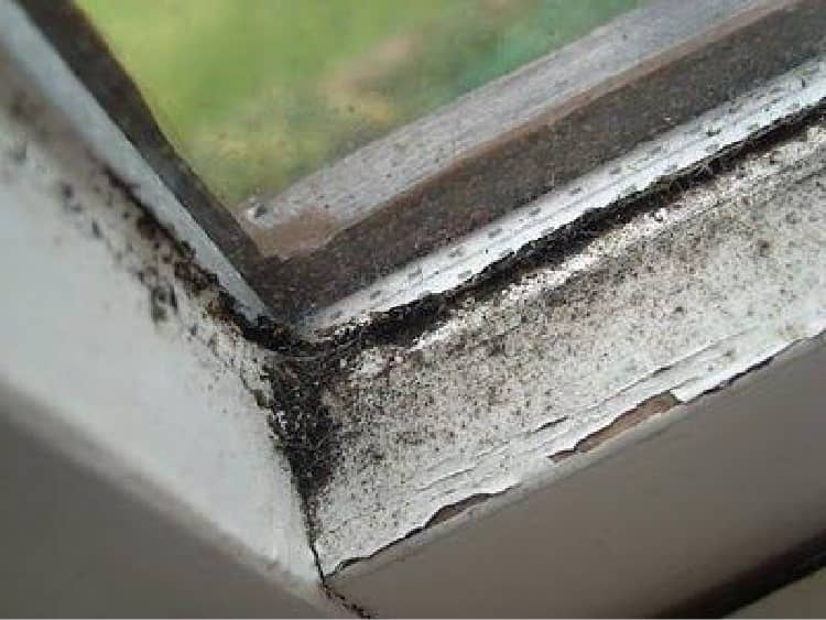 How to Clean Filthy Window Tracks and Sills