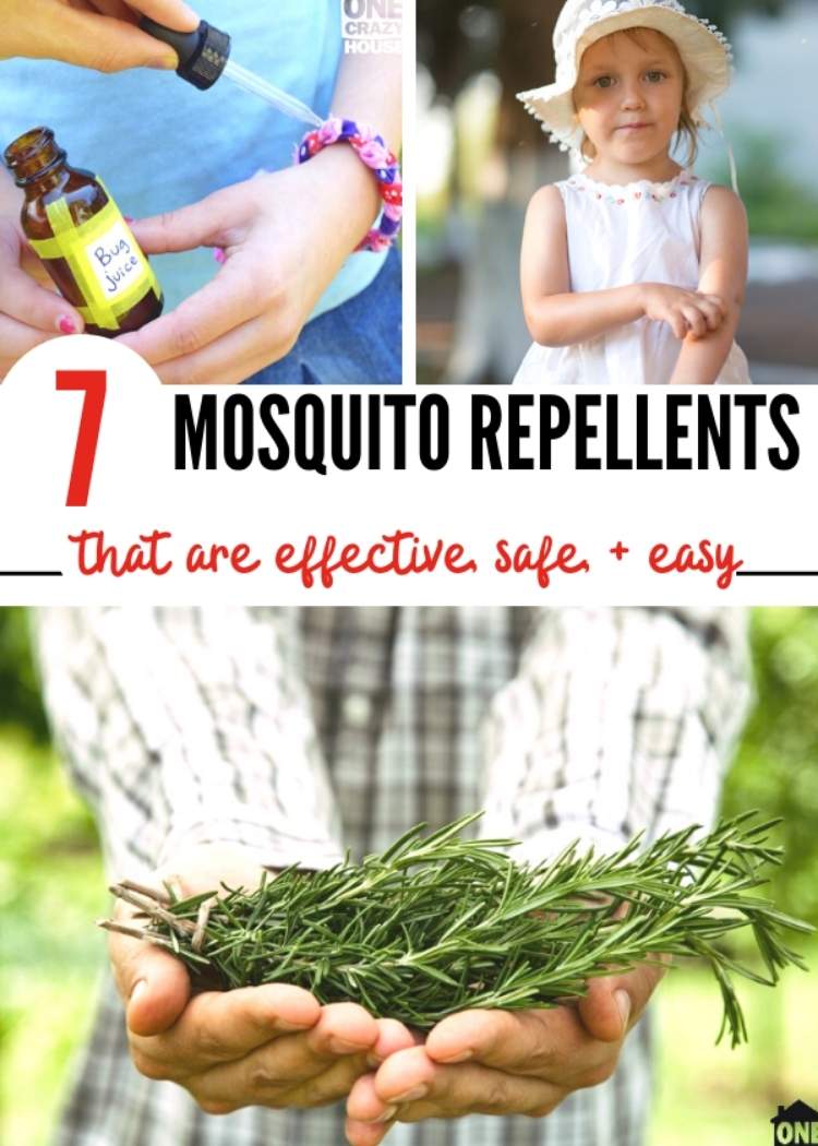 a woman with a bracelet laced with bug juice, a child scratching his arm, a man holding a bunch of rosemary plants