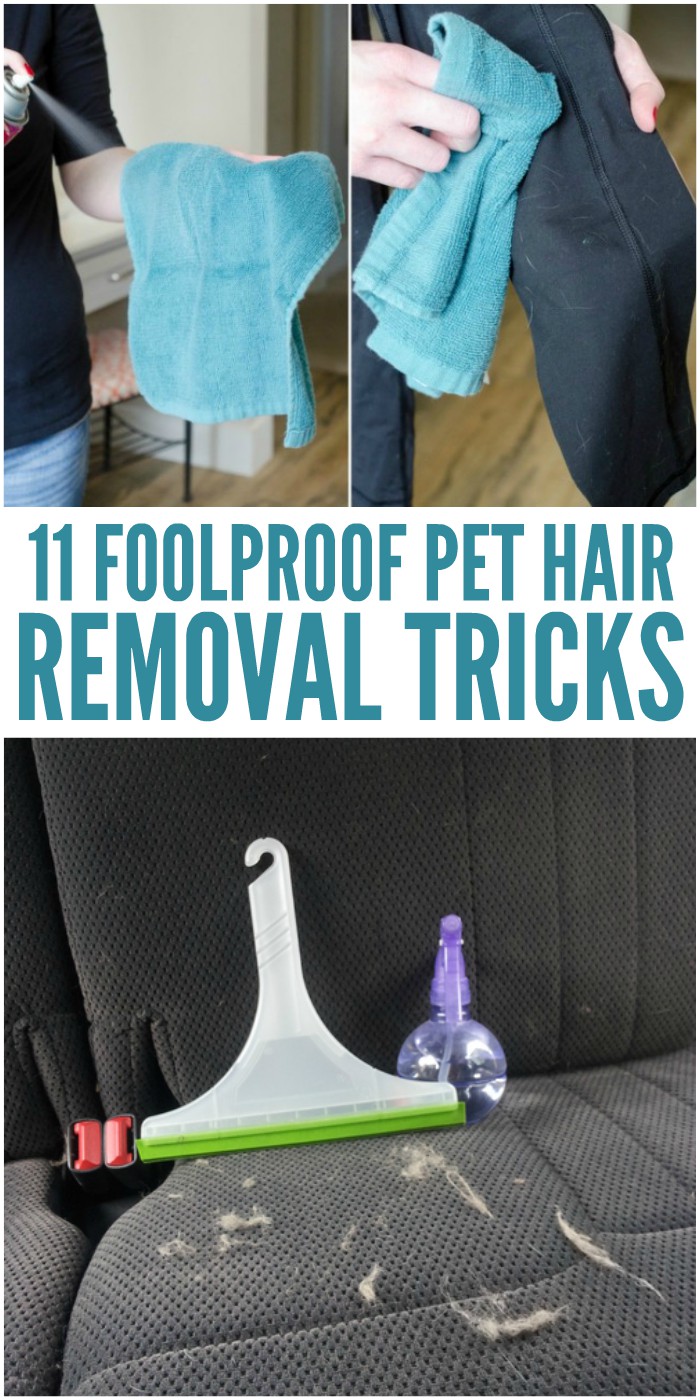 3 Genius, Foolproof Fly Traps to Make at Home