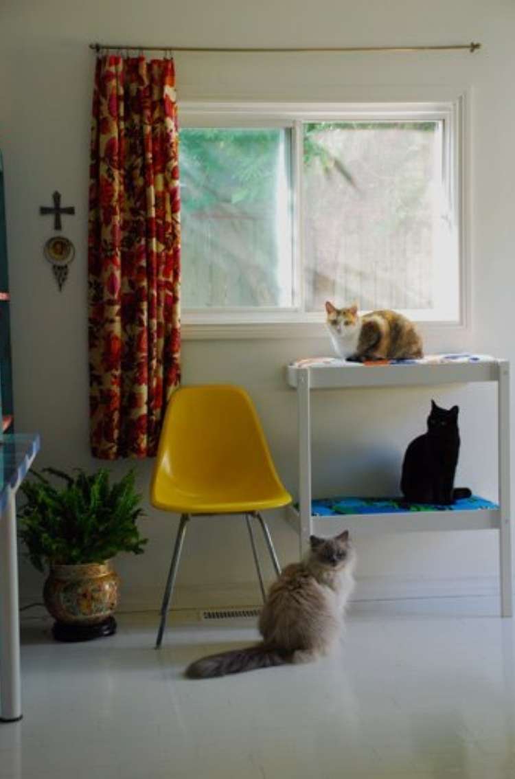 Repurposed changing tables converted into window stand for cats