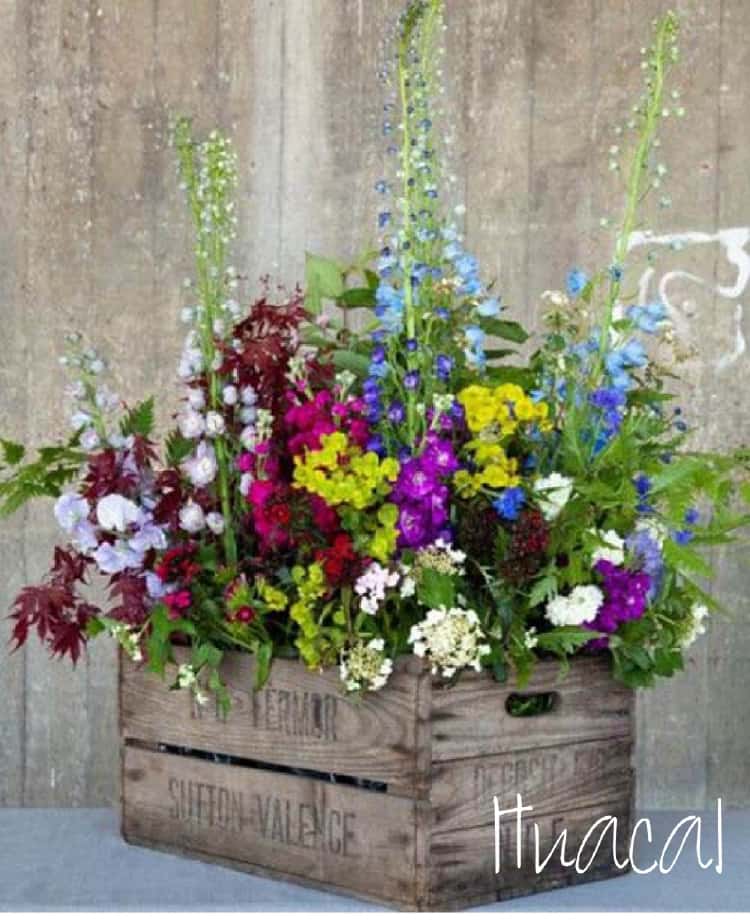 Wooden Crate Flower Planting Bed