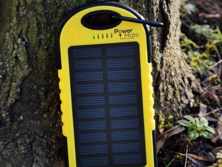 solar charger on tree