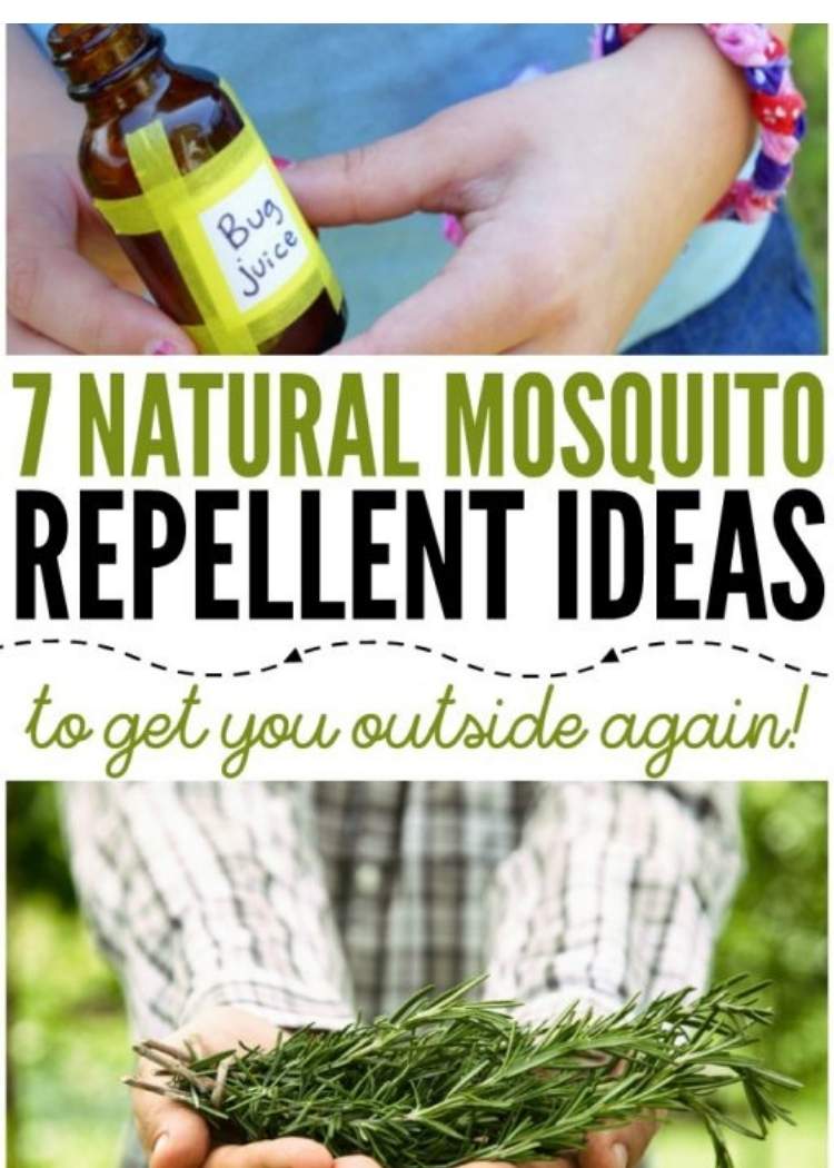 woman holding a bug  juice and a man holding rosemary plant as a natural mosquito repellent