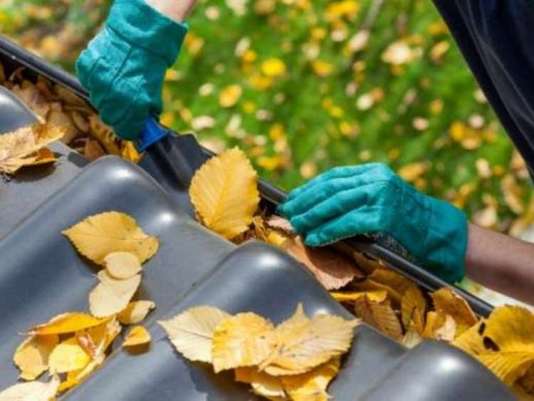 leaf-filled gutter