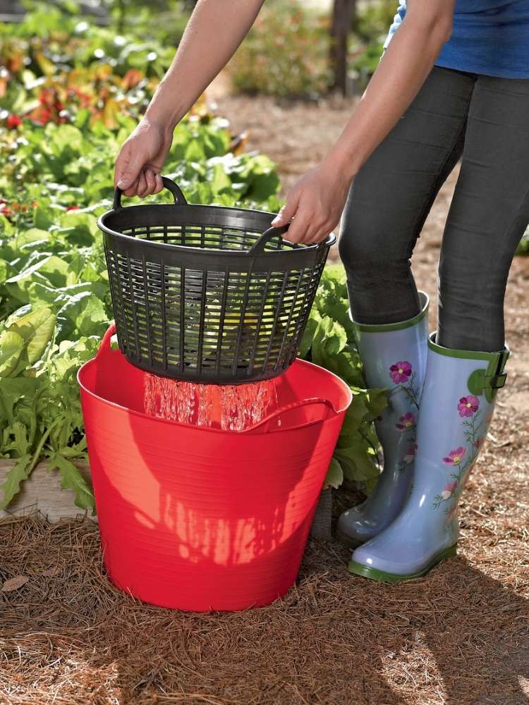 Picture of laundry basket being used as a colander