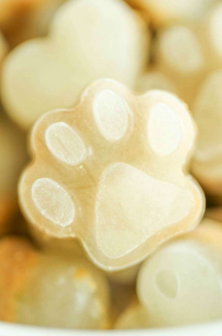 Closeup of frozen dog treat in shape of a paw print. 