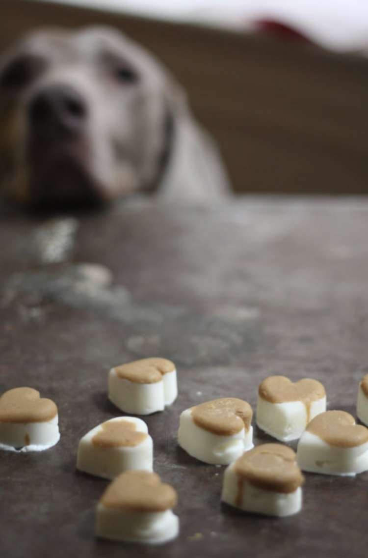 Heart Shaped peanut butter and yogurt treats on table with dog looking at treats in the background