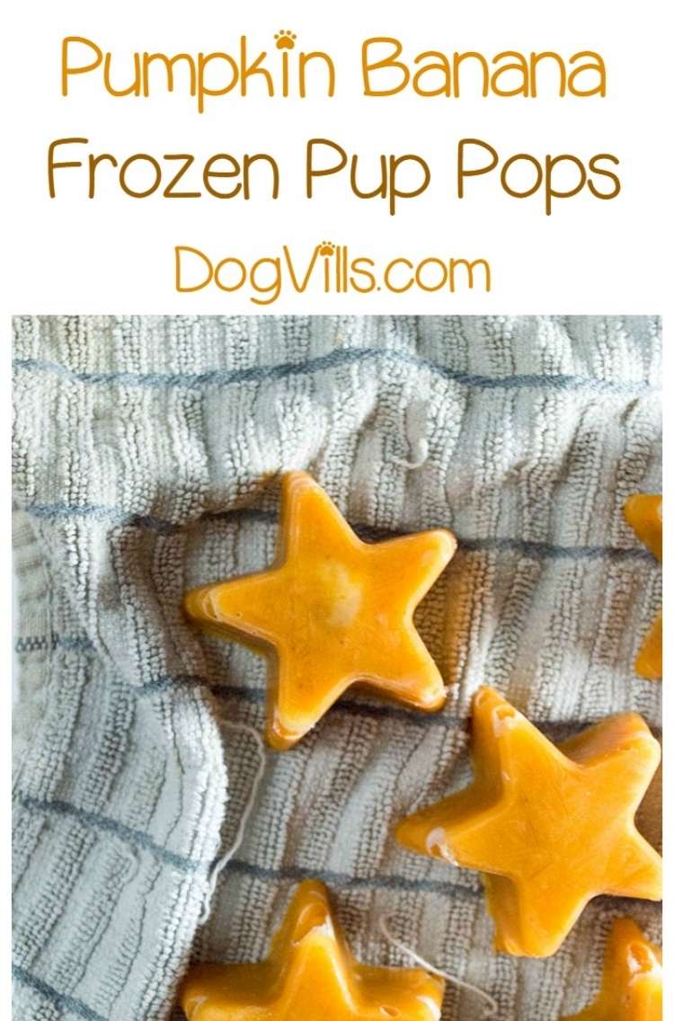 Star shaped pumpkin and banana frozen dog treats on cloth background