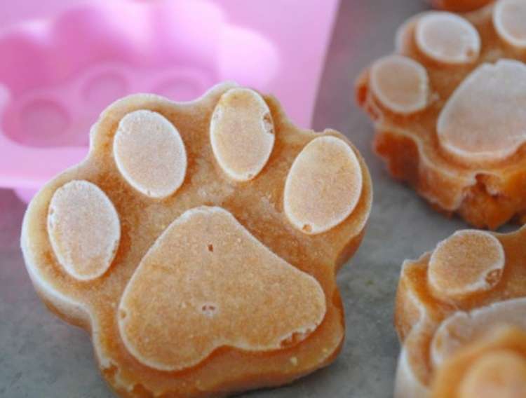 Frozen dog treats in shape of a paw resting on the mold used to create paw shape. 