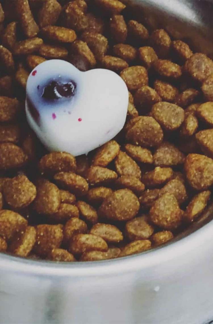 heart shaped coconut oil and blueberry frozen treat inside full bowl of dry dog food