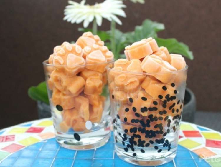 Two glassed on tiled table filled with frozen pumpkin dog treats in shape of a paw with a potted flower in the background. 