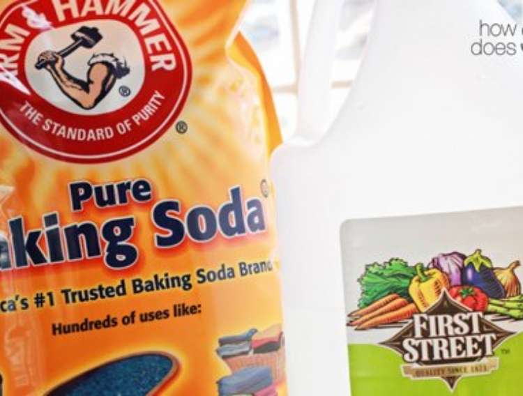 Large bag of baking soda next to a gallon of vinegar