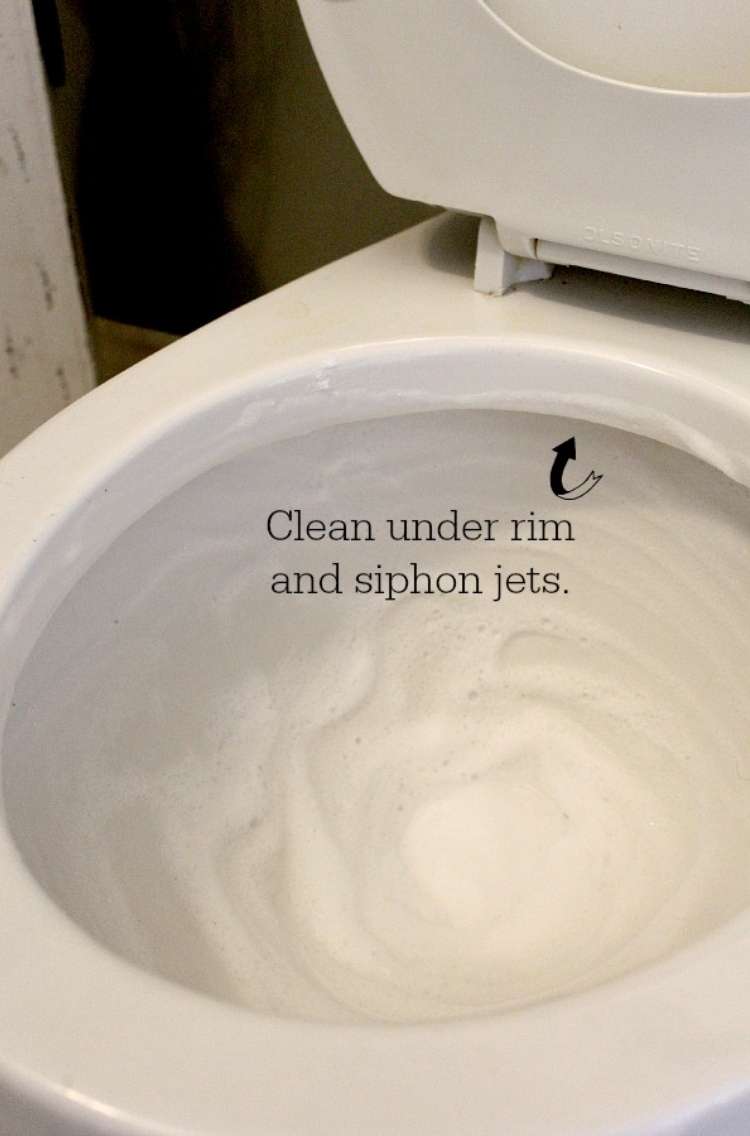 Open toilet bowl full of foam with an arrow pointing toward the water jets underneath the rim. Text at tend of arrow says "Clean under rim and siphon jets"