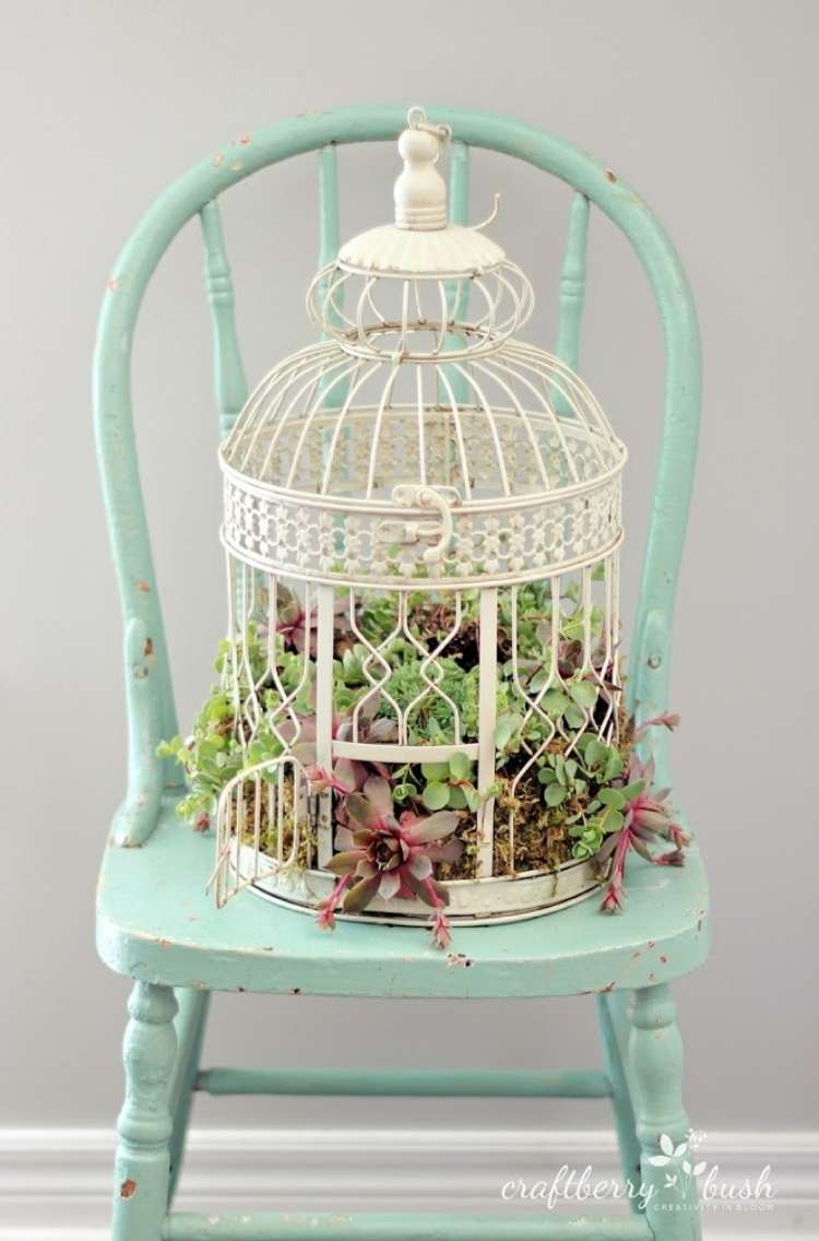 Succulents planted inside of a domed birdcage sitting on a wooden chair