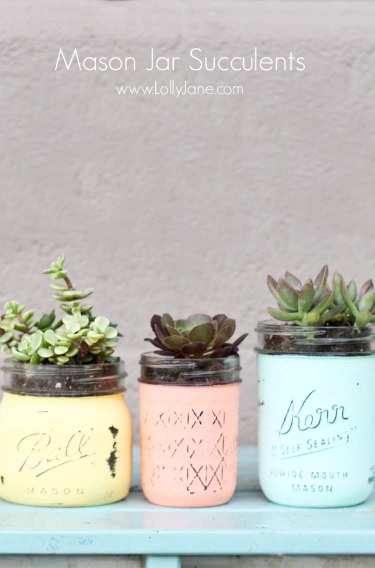 Succulents planted in 3 mason jars of different shapes and sizes