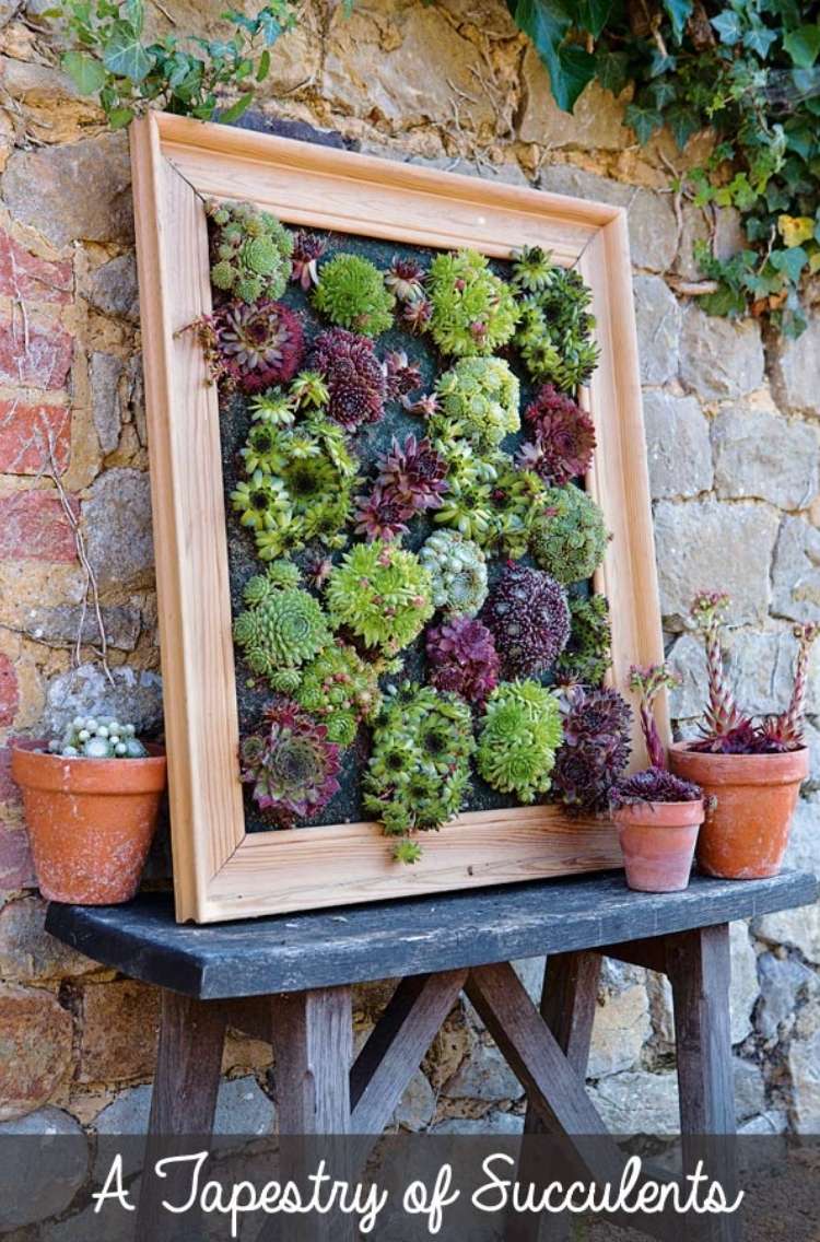 Succulents planted inside of a wooden frame, leaning against a brick wall surrounded by succulents planted in mini terracotta planters.