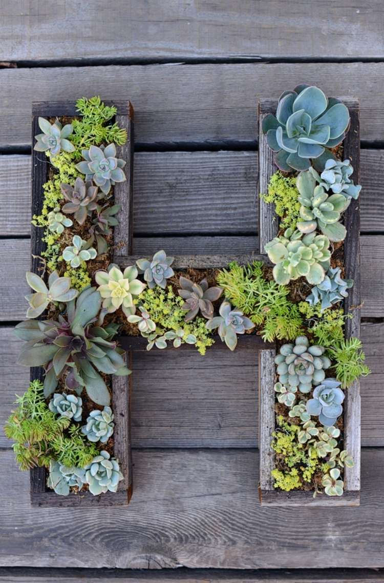 Succulents planted in a wooden planter in the shape of the letter H on a wooden plank background.