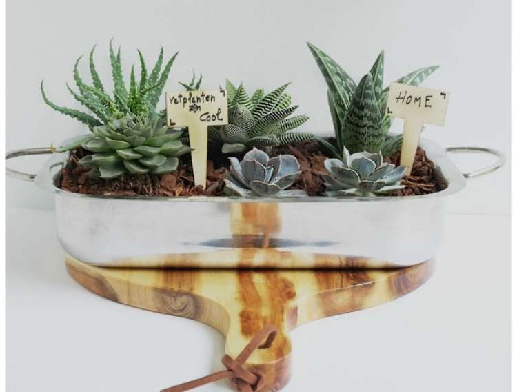 succulents planted in metal baking dish, on a wooden cutting board.