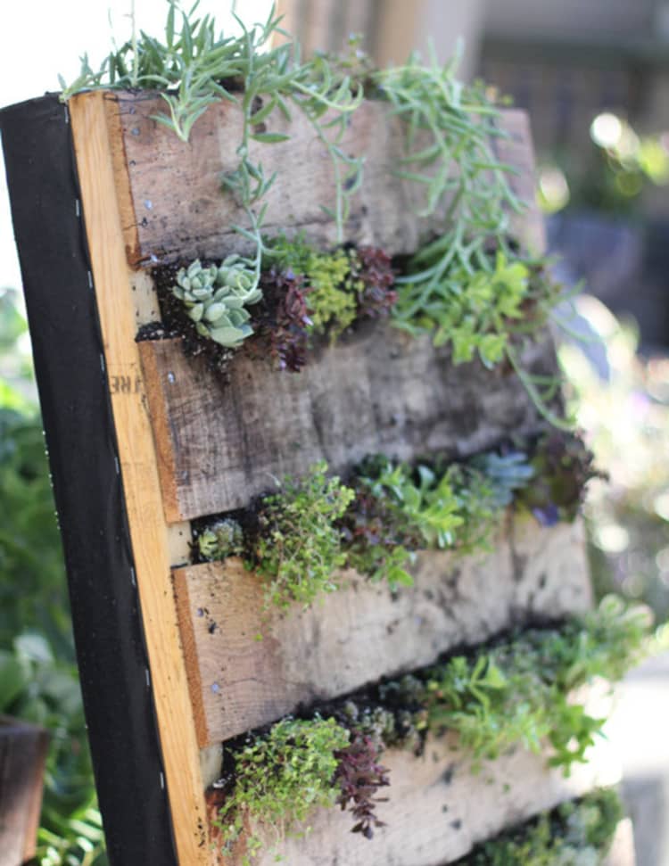 Backyard DIY Ideas - pallet vertical garden