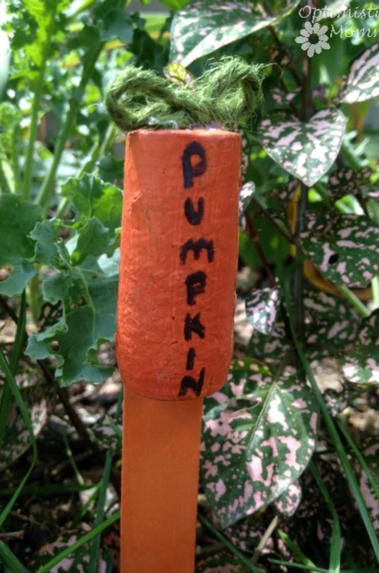 Wine Cork Crafts DIY Garden Markers Signs