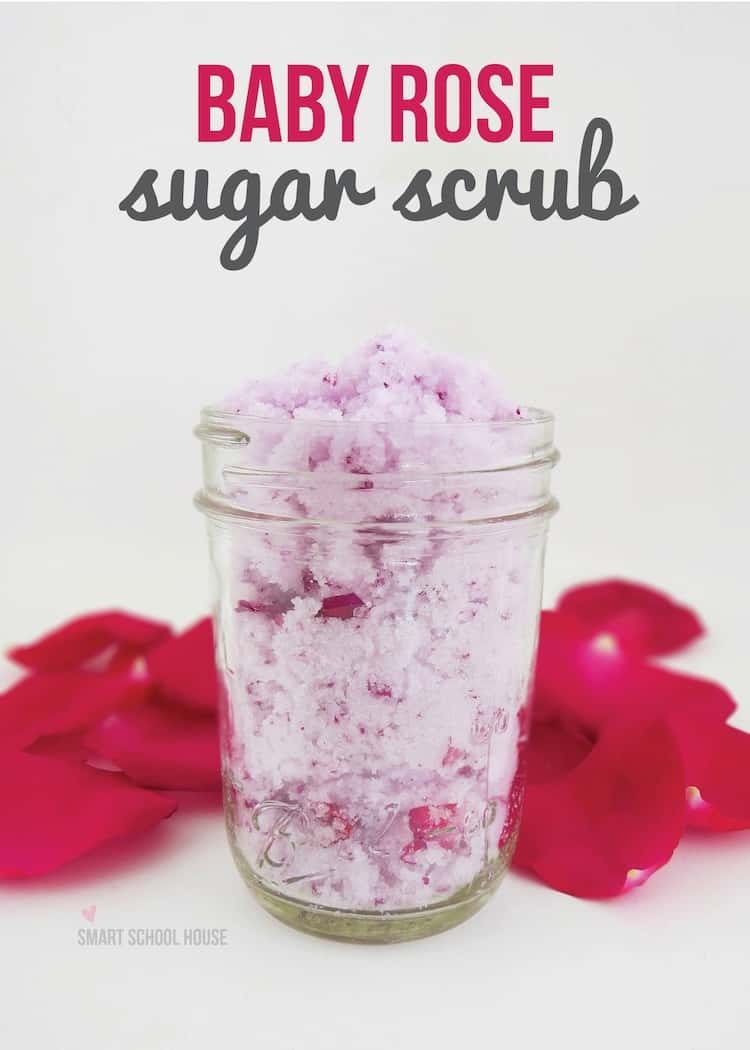 glass jar with baby rose sugar scrub with light pink color and rose petals behind the jar