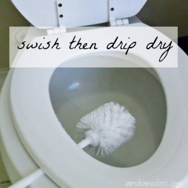 toilet bowl brush dripping dry 