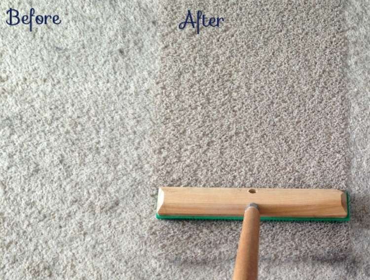 Carpet Rake: Brown wooden tool with green bristles for pet hair removal