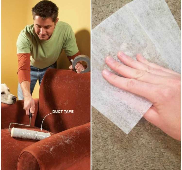 Hair removal tips: man using paint-roller and tape to clean hair, and dryer sheet wiping hair from carpet